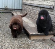 Превью фото № 185672