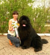 Превью фото № 185677