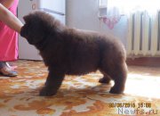 Превью фото № 185695