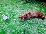 Превью фото № 185720