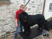 Превью фото № 185727