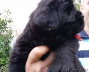 Превью фото № 185740