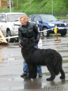 Превью фото № 185764