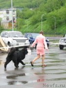 Превью фото № 185770