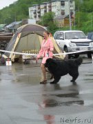 Превью фото № 185771