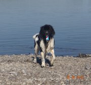 Превью фото № 185805