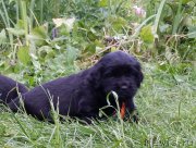 Превью фото № 185823