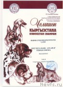 Превью фото № 185839