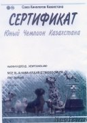 Превью фото № 185840