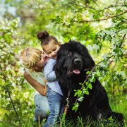 Превью фото № 185850