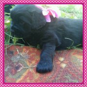 Превью фото № 185895