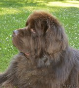 Превью фото № 185915