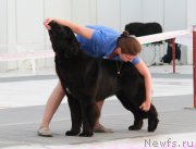 Превью фото № 185935