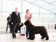 Превью фото № 185940