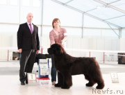 Превью фото № 185941