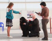 Превью фото № 185948