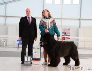 Превью фото № 185949