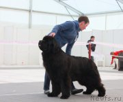 Превью фото № 185956