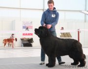 Превью фото № 185957