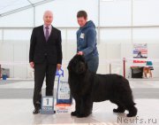 Превью фото № 185960