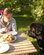 Превью фото № 185963