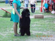 Превью фото № 186020