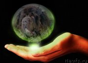 Превью фото № 186023