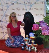 Превью фото № 186194