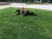 Превью фото № 186295