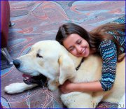 Превью фото № 186329