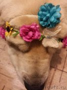 Превью фото № 186331