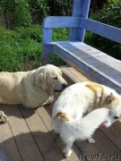 Превью фото № 186334