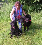 Превью фото № 186340