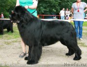 Превью фото № 186344