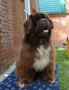 Превью фото № 186362