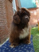 Превью фото № 186364