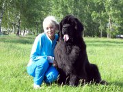 Превью фото № 186423