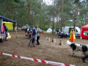 Превью фото № 186538