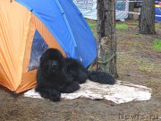 Превью фото № 186541