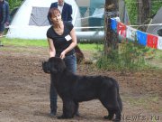 Превью фото № 186542