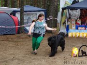 Превью фото № 186549