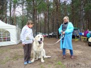 Превью фото № 186564