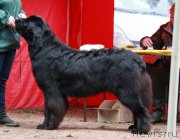 Превью фото № 186628