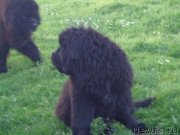 Превью фото № 186681