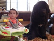 Превью фото № 186697