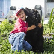 Превью фото № 186702