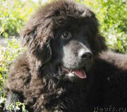 Превью фото № 186712