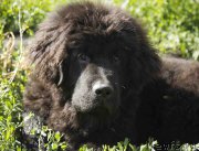 Превью фото № 186713