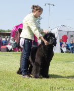 Превью фото № 186724