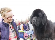 Превью фото № 186726